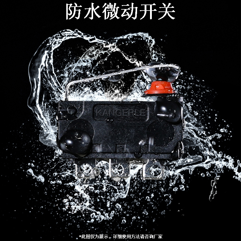 防水微動開關IP67.jpg